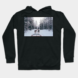 Winter Sleigh Ride Hoodie